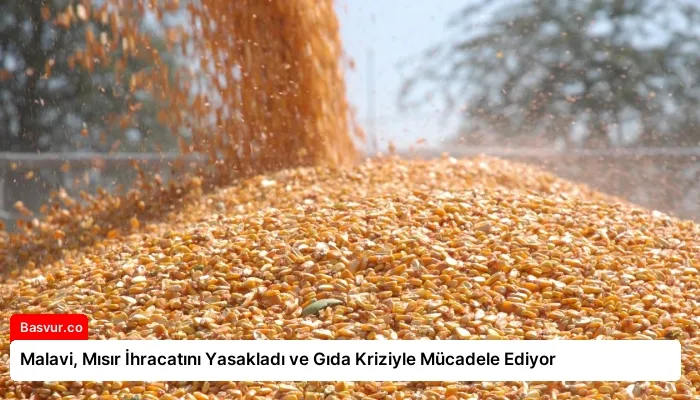 Malavi, Mısır İhracatını Yasakladı ve Gıda Kriziyle Mücadele Ediyor