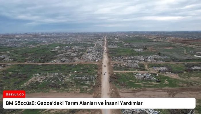 BM Sözcüsü: Gazze’deki Tarım Alanları ve İnsani Yardımlar