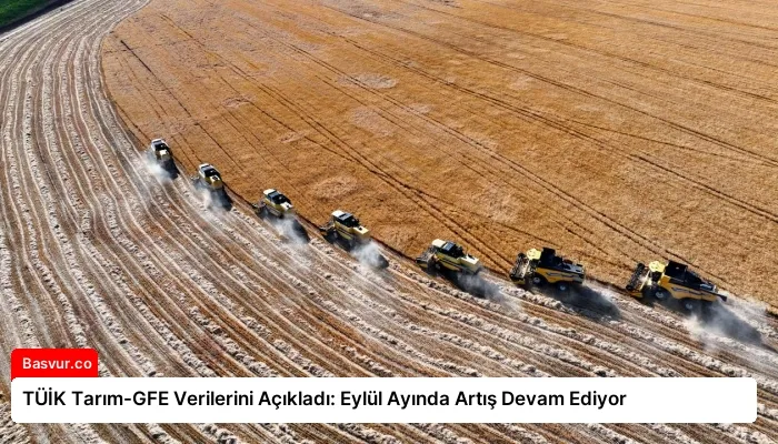 TÜİK Tarım-GFE Verilerini Açıkladı: Eylül Ayında Artış Devam Ediyor