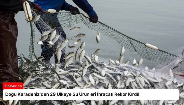 Doğu Karadeniz’den 29 Ülkeye Su Ürünleri İhracatı Rekor Kırdı!