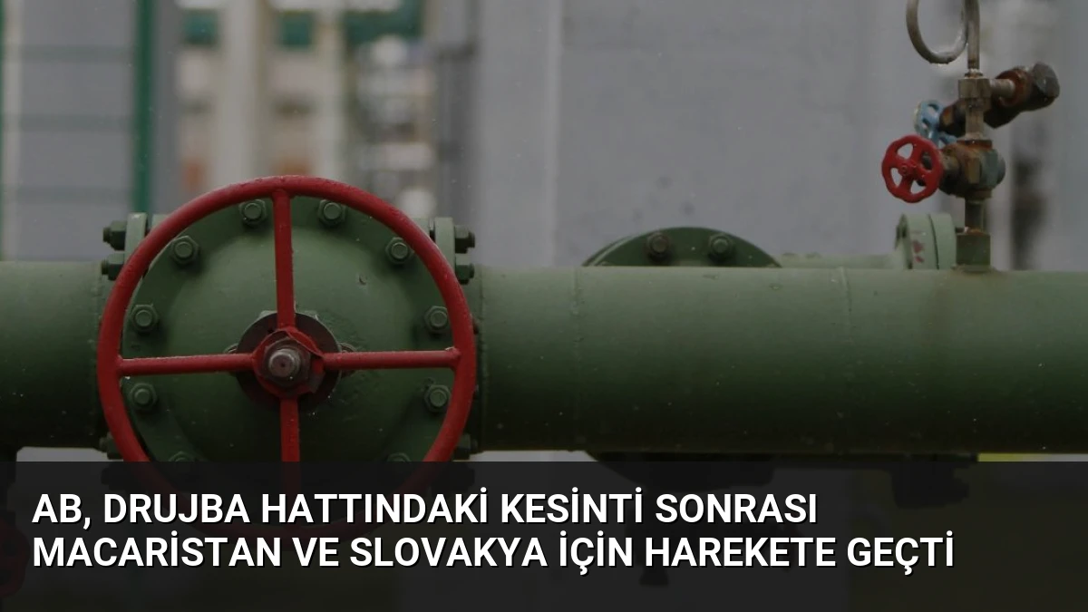 AB, Drujba Hattındaki Kesinti Sonrası Macaristan ve Slovakya İçin Harekete Geçti