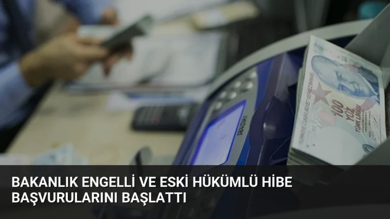 Bakanlık Engelli ve Eski Hükümlü Hibe Başvurularını Başlattı