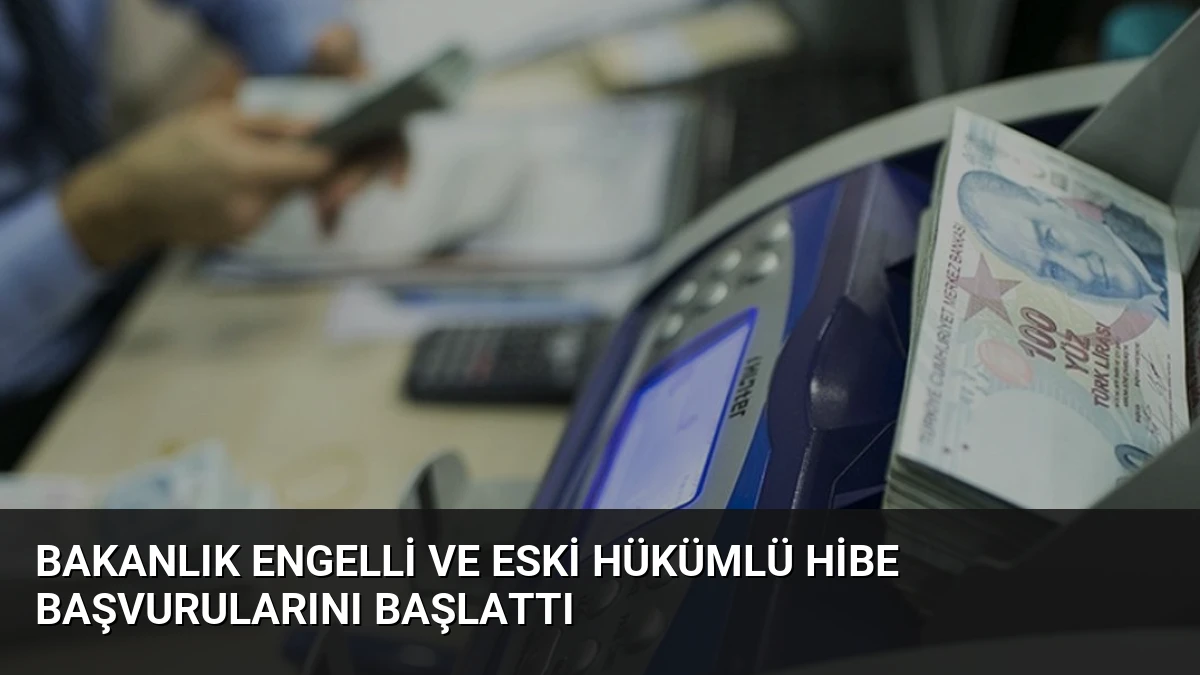 Bakanlık Engelli ve Eski Hükümlü Hibe Başvurularını Başlattı