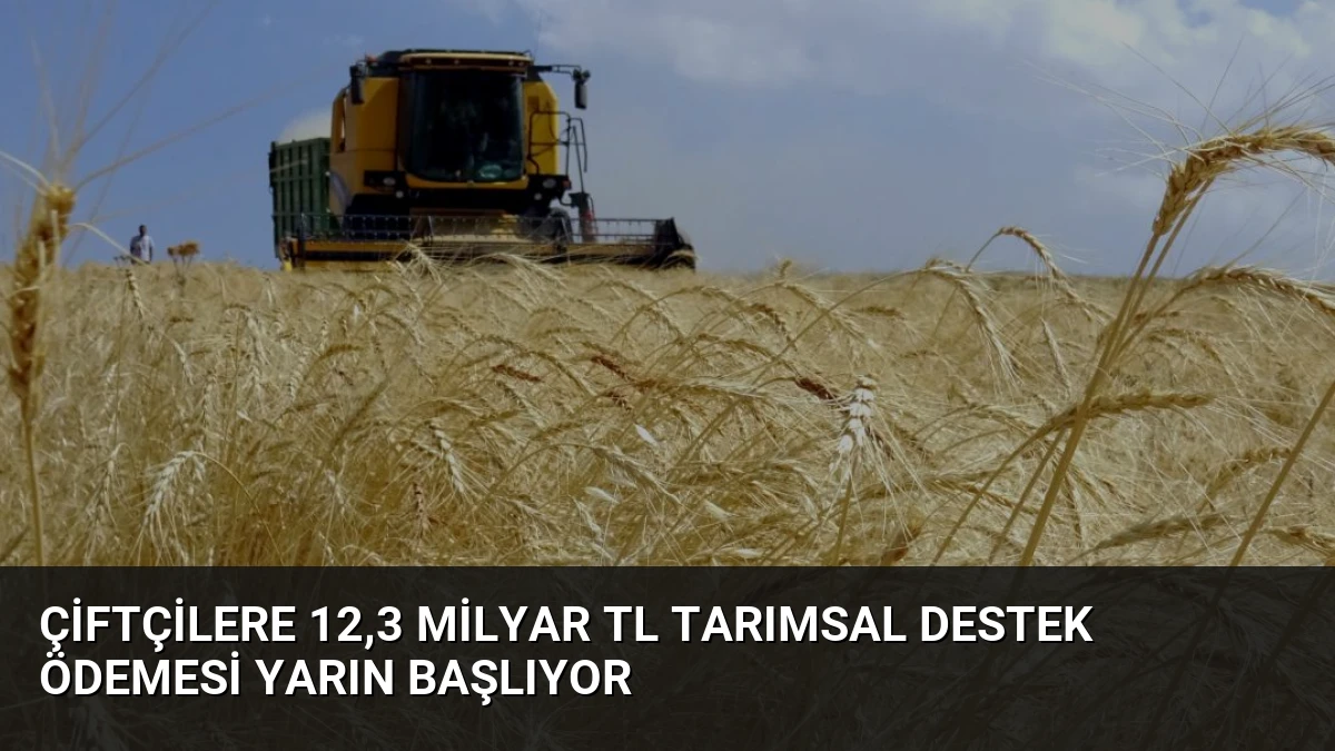 Çiftçilere 12,3 Milyar TL Tarımsal Destek Ödemesi Yarın Başlıyor