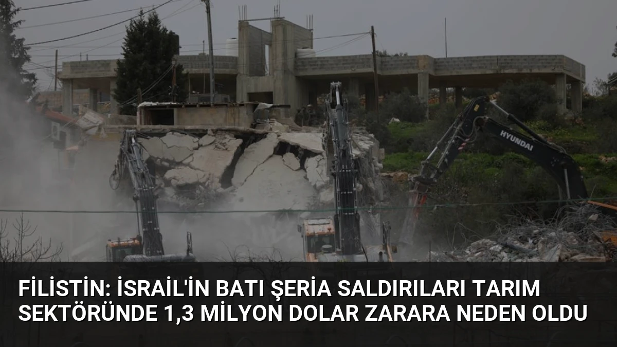 Filistin: İsrail’in Batı Şeria Saldırıları Tarım Sektöründe 1,3 Milyon Dolar Zarara Neden Oldu