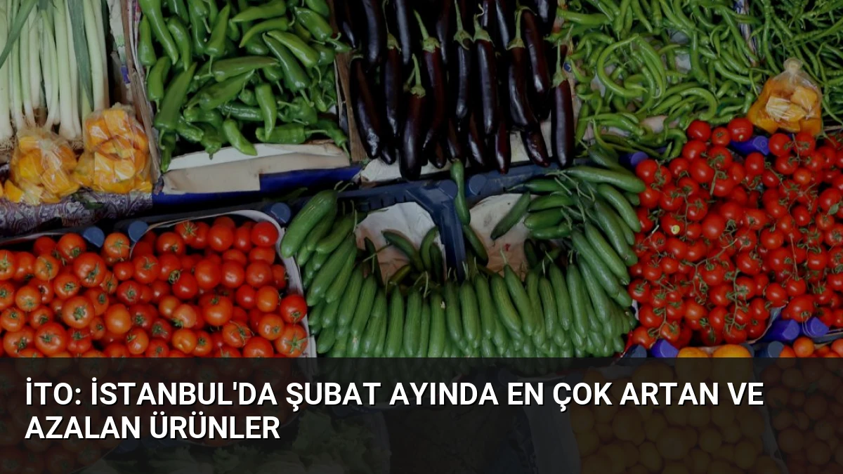 İTO: İstanbul’da Şubat Ayında En Çok Artan ve Azalan Ürünler