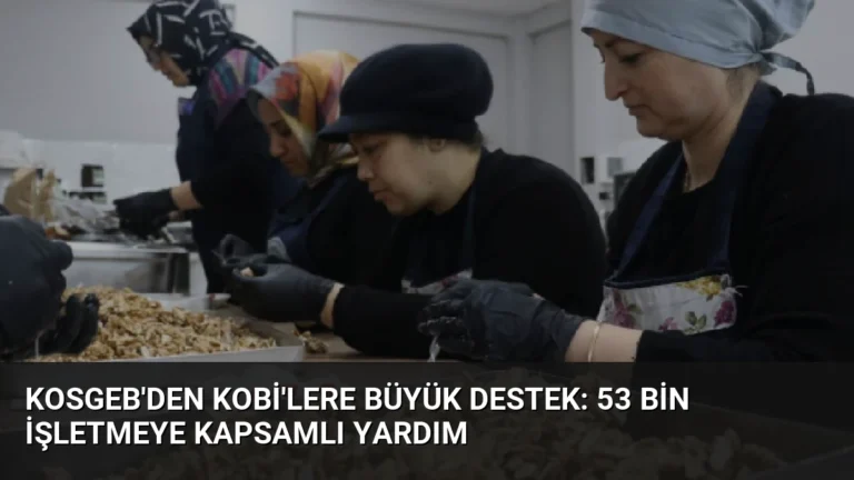 KOSGEB’den KOBİ’lere Büyük Destek: 53 Bin İşletmeye Kapsamlı Yardım