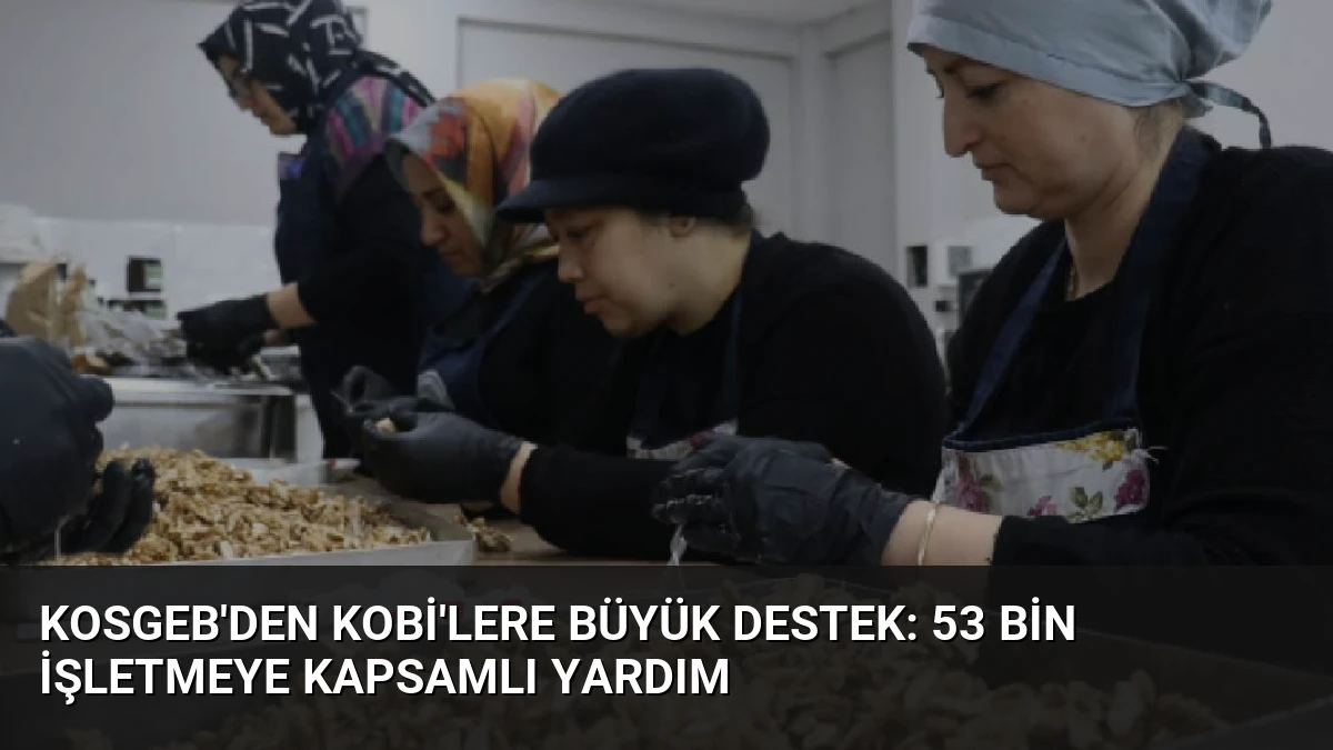 KOSGEB’den KOBİ’lere Büyük Destek: 53 Bin İşletmeye Kapsamlı Yardım