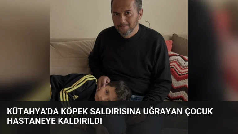 Kütahya’da Köpek Saldırısına Uğrayan Çocuk Hastaneye Kaldırıldı