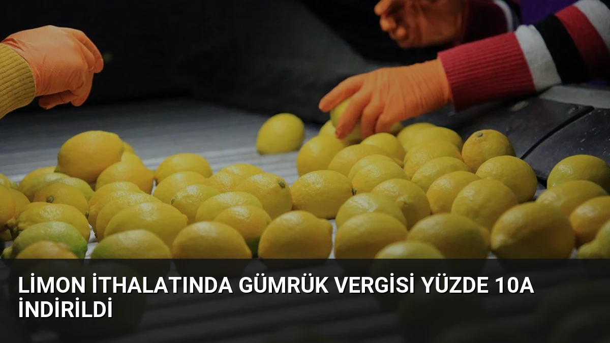 Limon İthalatında Gümrük Vergisi Yüzde 10a İndirildi