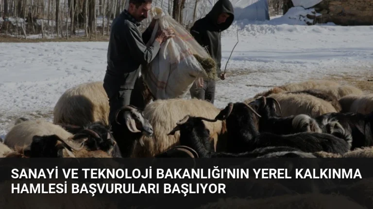 Sanayi ve Teknoloji Bakanlığı’nın Yerel Kalkınma Hamlesi Başvuruları Başlıyor