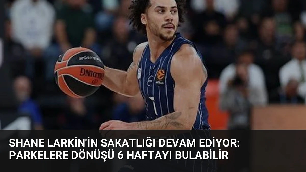 Shane Larkin’in Sakatlığı Devam Ediyor: Parkelere Dönüşü 6 Haftayı Bulabilir