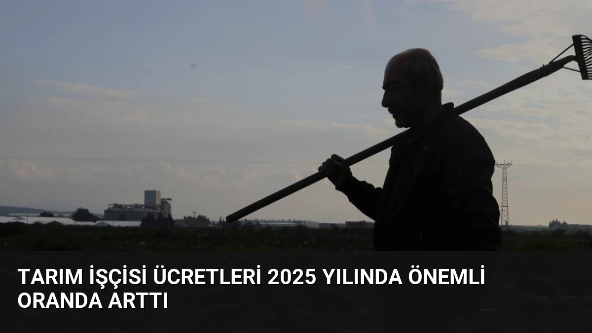 Tarım İşçisi Ücretleri 2025 Yılında Önemli Oranda Arttı
