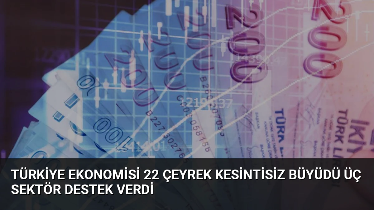 Türkiye Ekonomisi 22 Çeyrek Kesintisiz Büyüdü Üç Sektör Destek Verdi