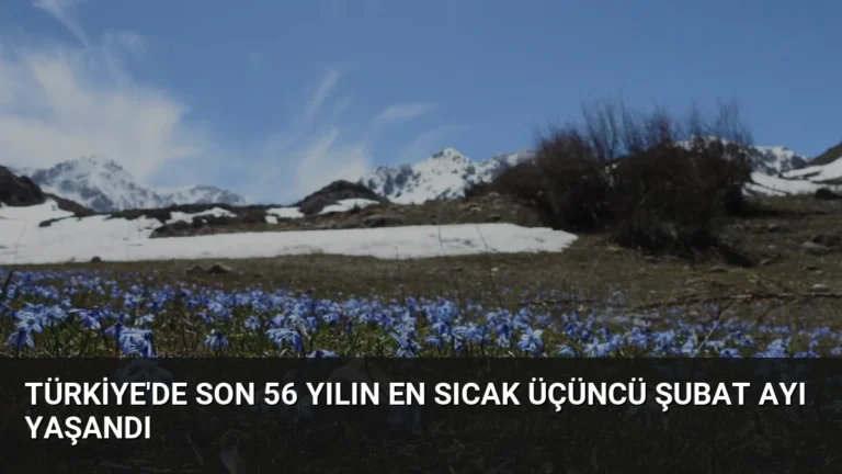 Türkiye’de Son 56 Yılın En Sıcak Üçüncü Şubat Ayı Yaşandı