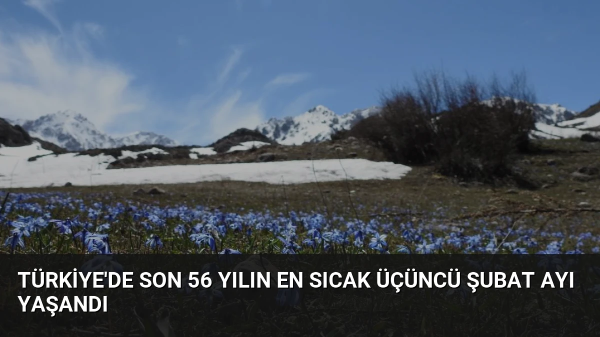 Türkiye’de Son 56 Yılın En Sıcak Üçüncü Şubat Ayı Yaşandı