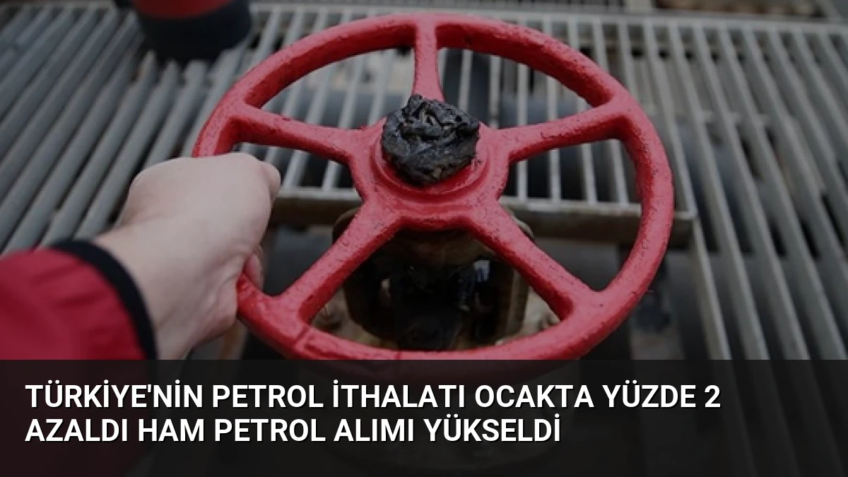 Türkiye’nin Petrol İthalatı Ocakta Yüzde 2 Azaldı Ham Petrol Alımı Yükseldi