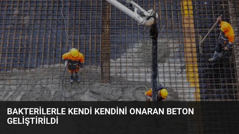 Bakterilerle Kendi Kendini Onaran Beton Geliştirildi