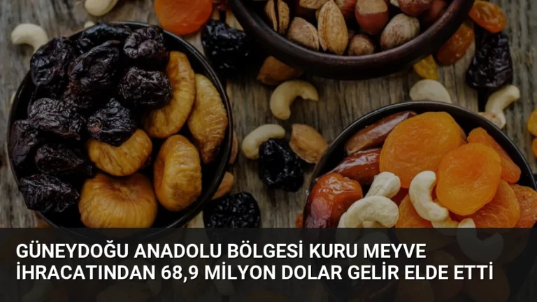 Güneydoğu Anadolu Bölgesi Kuru Meyve İhracatından 68,9 Milyon Dolar Gelir Elde Etti