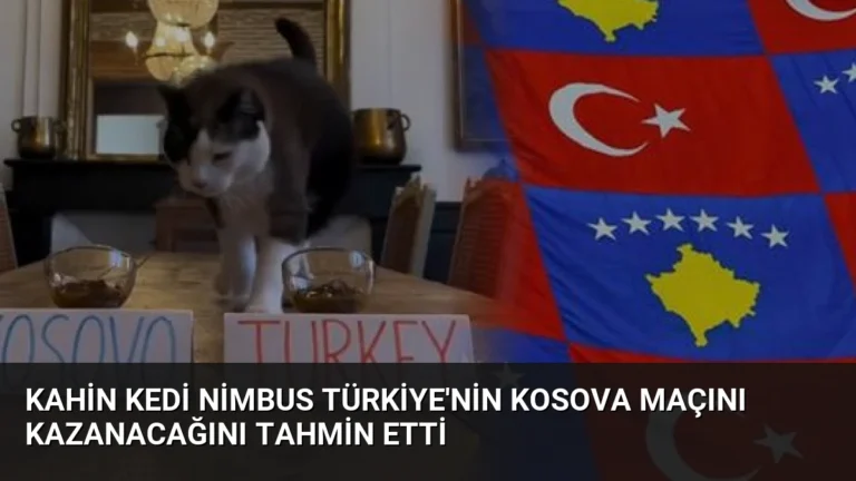 Kahin Kedi Nimbus Türkiye’nin Kosova Maçını Kazanacağını Tahmin Etti