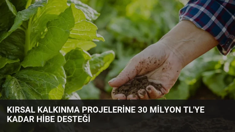 Kırsal Kalkınma Projelerine 30 Milyon TL’ye Kadar Hibe Desteği