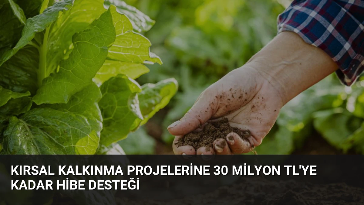 Kırsal Kalkınma Projelerine 30 Milyon TL’ye Kadar Hibe Desteği