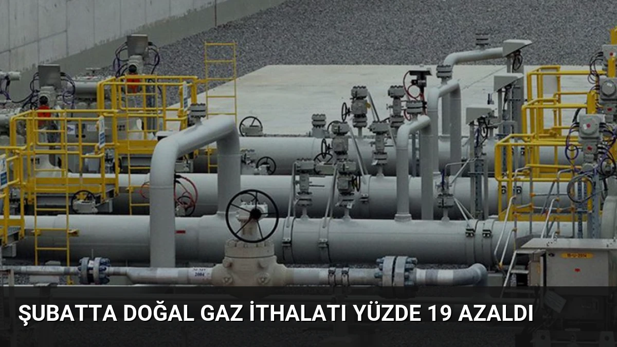 Şubatta Doğal Gaz İthalatı Yüzde 19 Azaldı