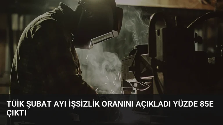 TÜİK Şubat Ayı İşsizlik Oranını Açıkladı Yüzde 85e Çıktı