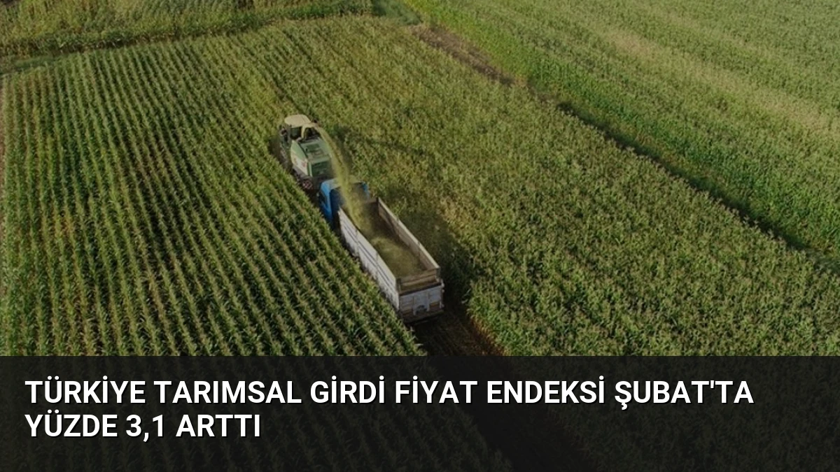 Türkiye Tarımsal Girdi Fiyat Endeksi Şubat’ta Yüzde 3,1 Arttı