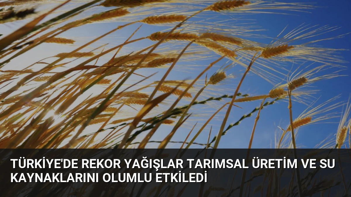 Türkiye’de Rekor Yağışlar Tarımsal Üretim ve Su Kaynaklarını Olumlu Etkiledi