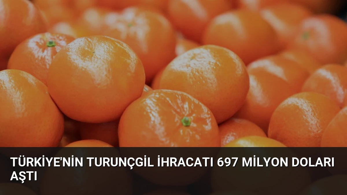 Türkiye’nin Turunçgil İhracatı 697 Milyon Doları Aştı