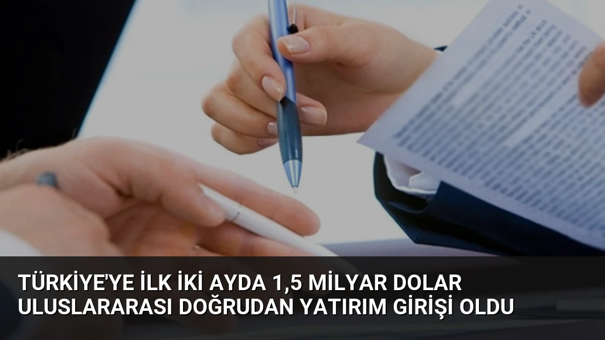 Türkiye’ye İlk İki Ayda 1,5 Milyar Dolar Uluslararası Doğrudan Yatırım Girişi Oldu