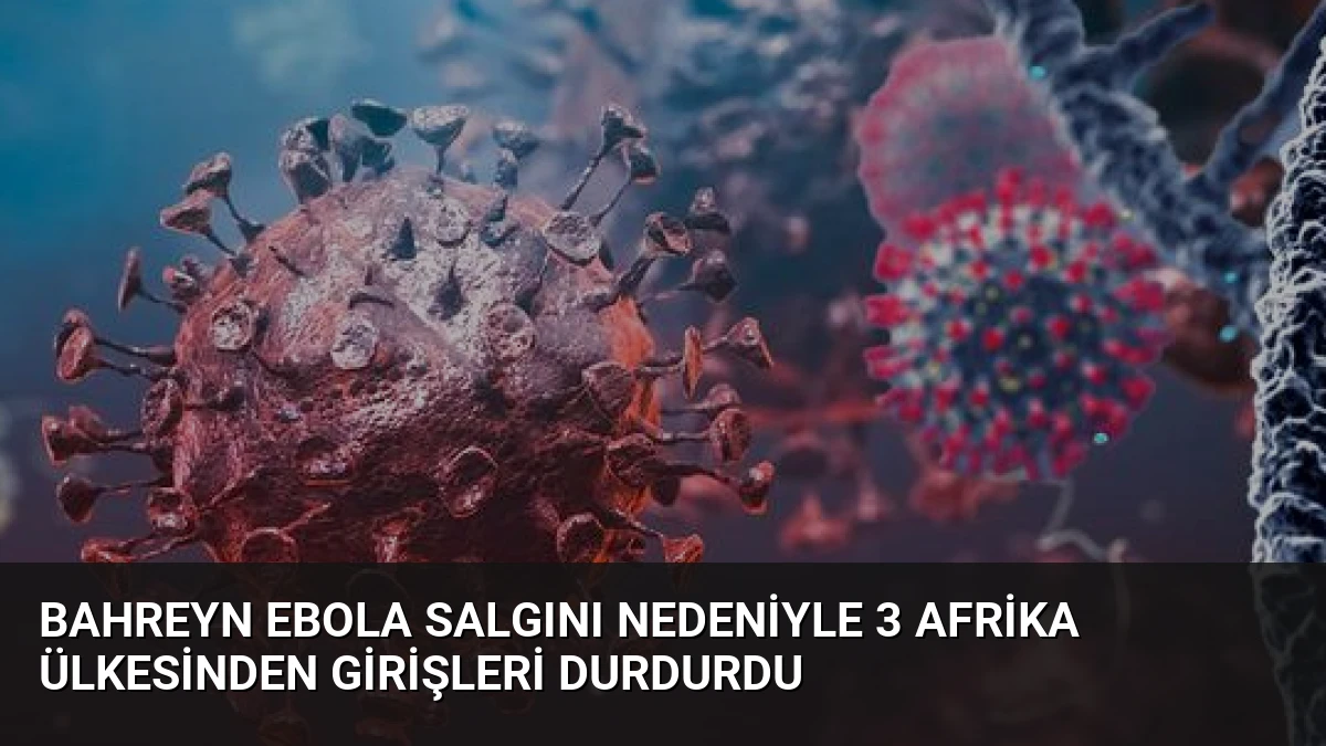 Bahreyn Ebola Salgını Nedeniyle 3 Afrika Ülkesinden Girişleri Durdurdu
