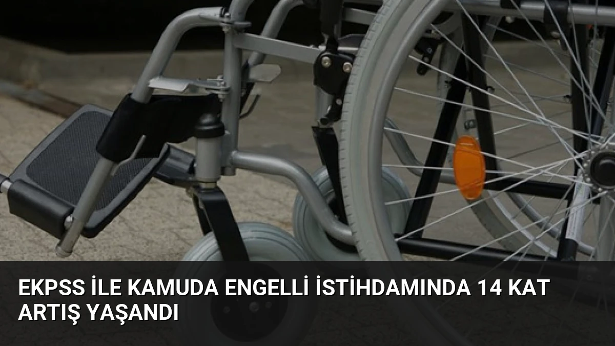 EKPSS ile Kamuda Engelli İstihdamında 14 Kat Artış Yaşandı
