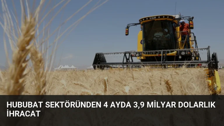 Hububat Sektöründen 4 Ayda 3,9 Milyar Dolarlık İhracat