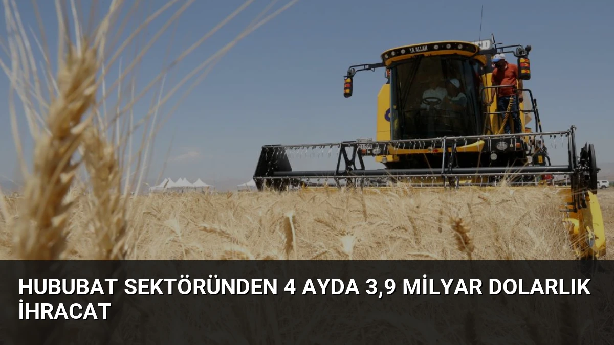 Hububat Sektöründen 4 Ayda 3,9 Milyar Dolarlık İhracat