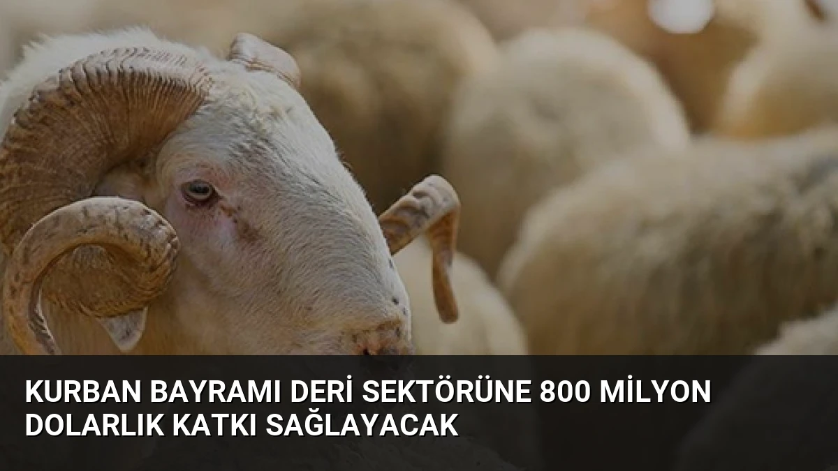Kurban Bayramı Deri Sektörüne 800 Milyon Dolarlık Katkı Sağlayacak
