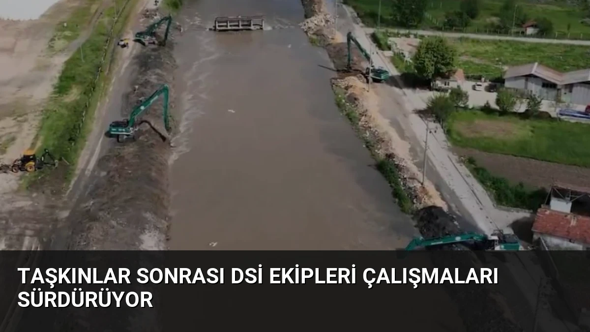 Taşkınlar Sonrası DSİ Ekipleri Çalışmaları Sürdürüyor