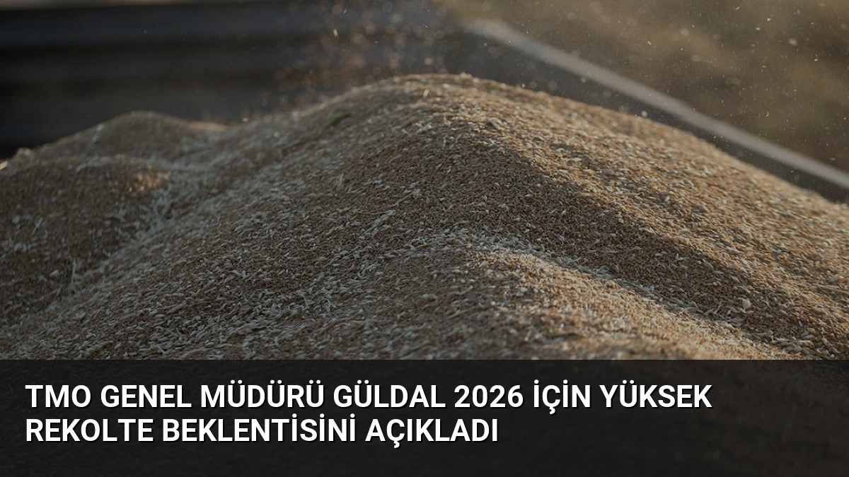 TMO Genel Müdürü Güldal 2026 İçin Yüksek Rekolte Beklentisini Açıkladı