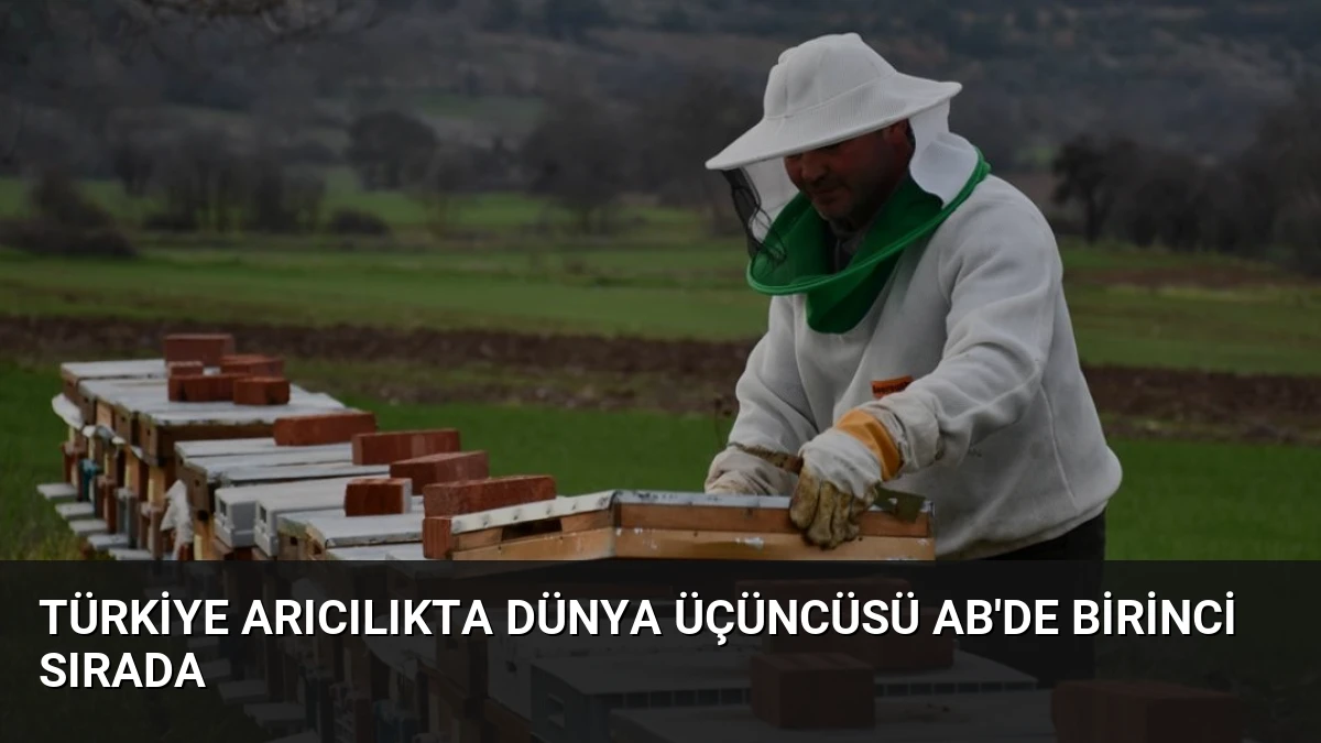 Türkiye Arıcılıkta Dünya Üçüncüsü AB’de Birinci Sırada