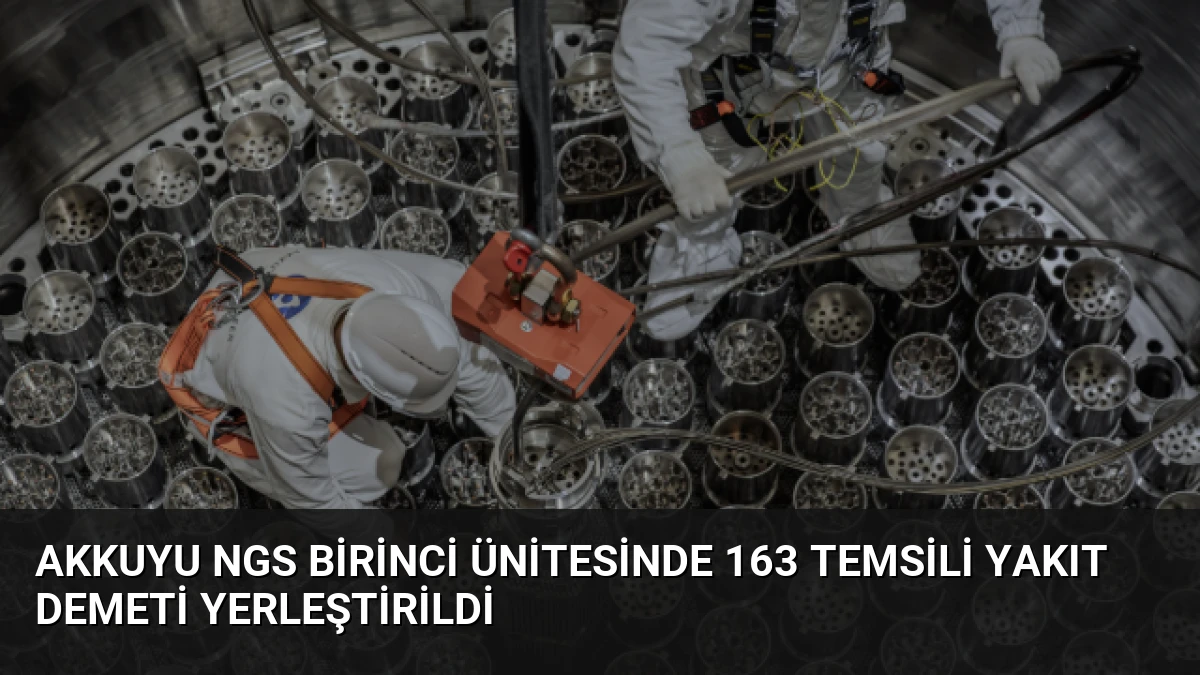 Akkuyu NGS Birinci Ünitesinde 163 Temsili Yakıt Demeti Yerleştirildi
