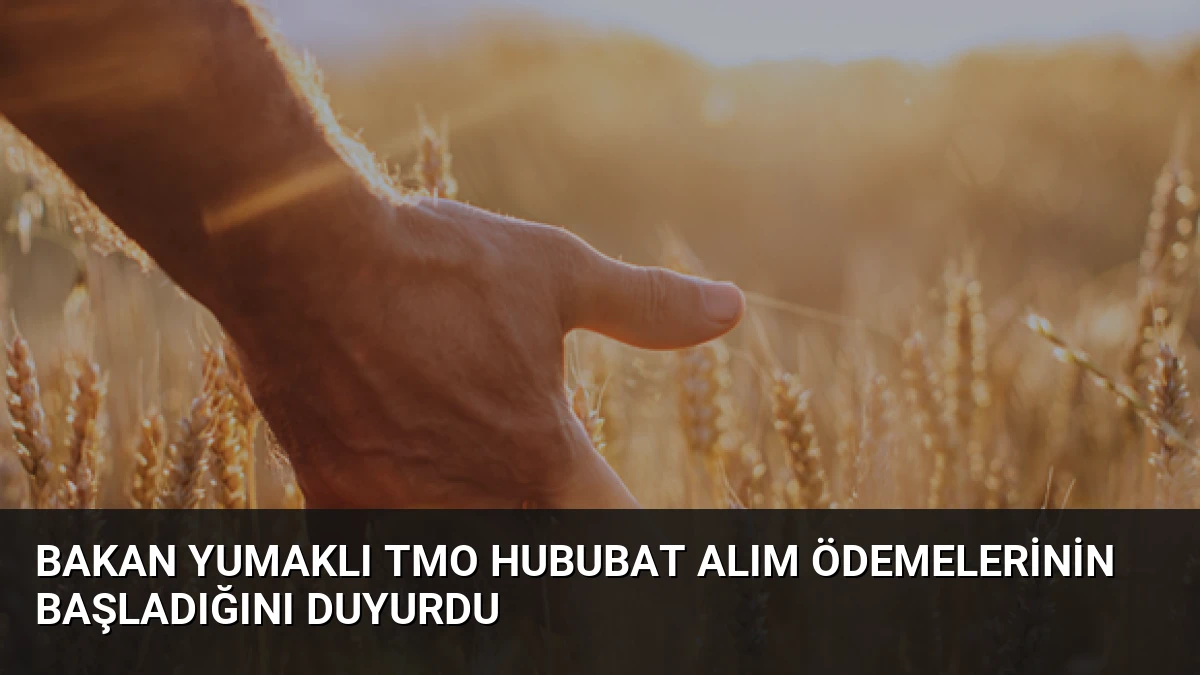 Bakan Yumaklı TMO Hububat Alım Ödemelerinin Başladığını Duyurdu