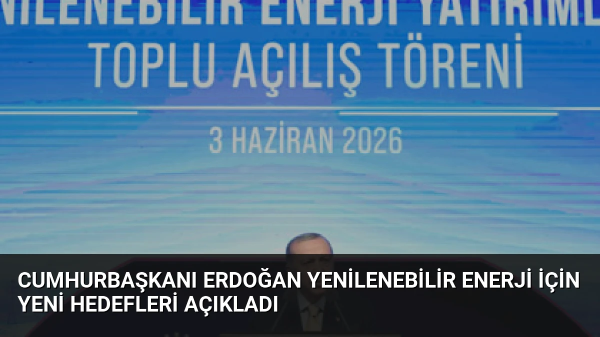 Cumhurbaşkanı Erdoğan Yenilenebilir Enerji İçin Yeni Hedefleri Açıkladı