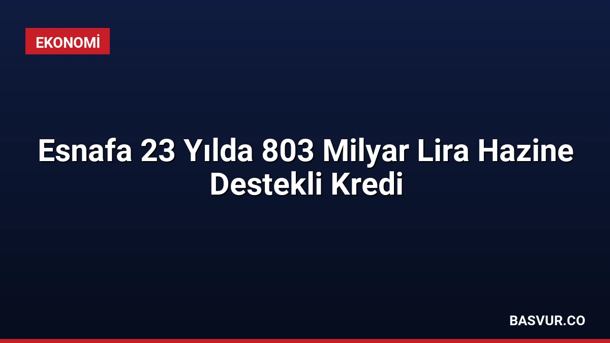 Esnafa 23 Yılda 803 Milyar Lira Hazine Destekli Kredi