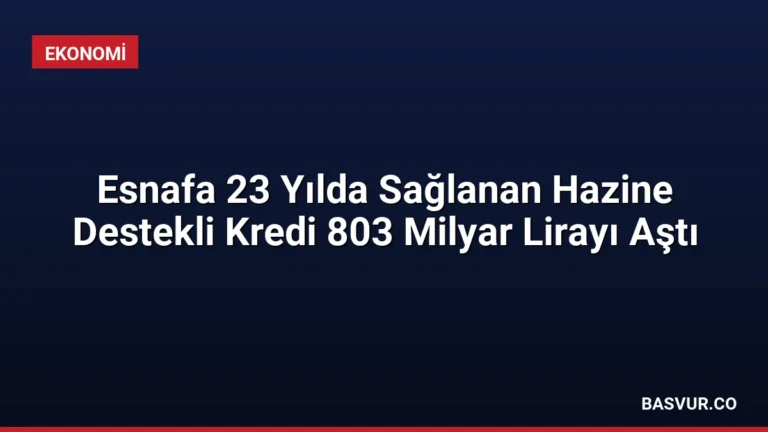 Esnafa 23 Yılda Sağlanan Hazine Destekli Kredi 803 Milyar Lirayı Aştı