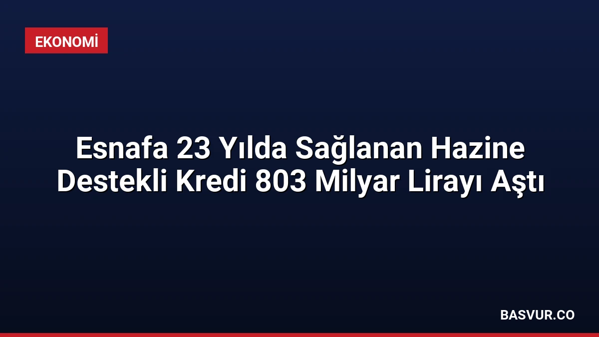 Esnafa 23 Yılda Sağlanan Hazine Destekli Kredi 803 Milyar Lirayı Aştı