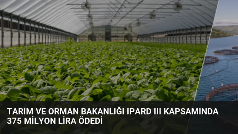 Tarım ve Orman Bakanlığı IPARD III Kapsamında 375 Milyon Lira Ödedi