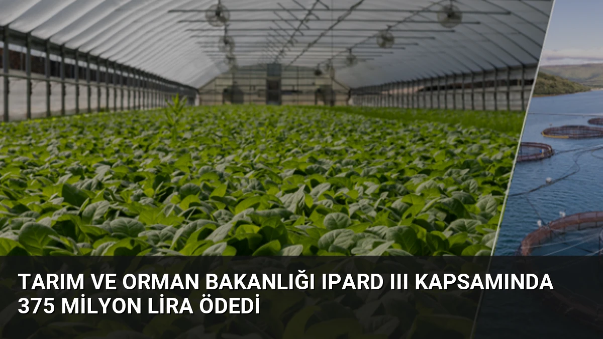 Tarım ve Orman Bakanlığı IPARD III Kapsamında 375 Milyon Lira Ödedi