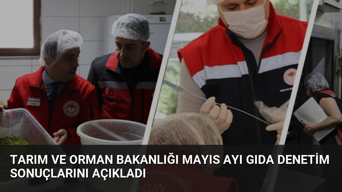 Tarım ve Orman Bakanlığı Mayıs Ayı Gıda Denetim Sonuçlarını Açıkladı