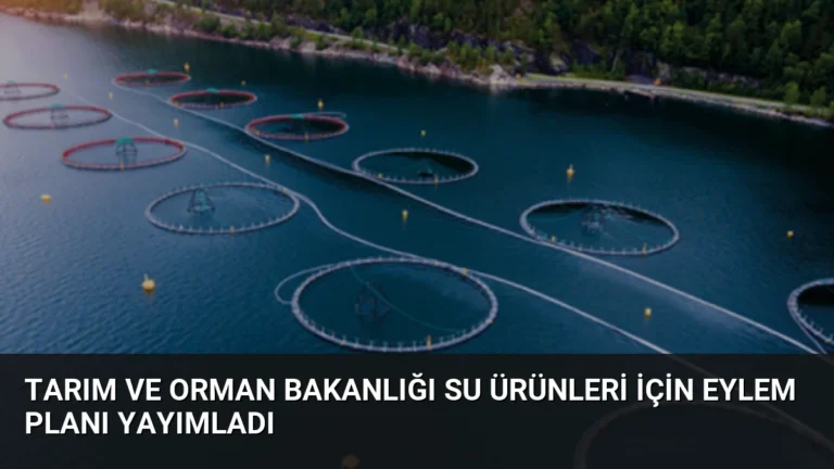 Tarım ve Orman Bakanlığı su ürünleri için eylem planı yayımladı